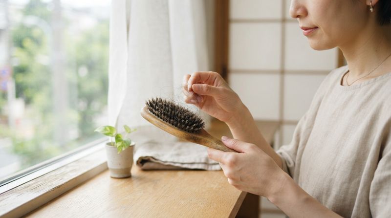 ブラシに付着した抜け毛を確認している様子