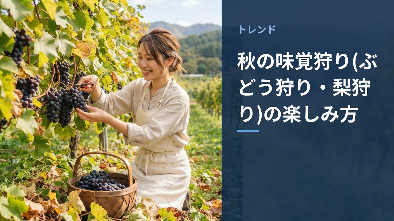収穫したばかりのぶどうがかごに入っている様子