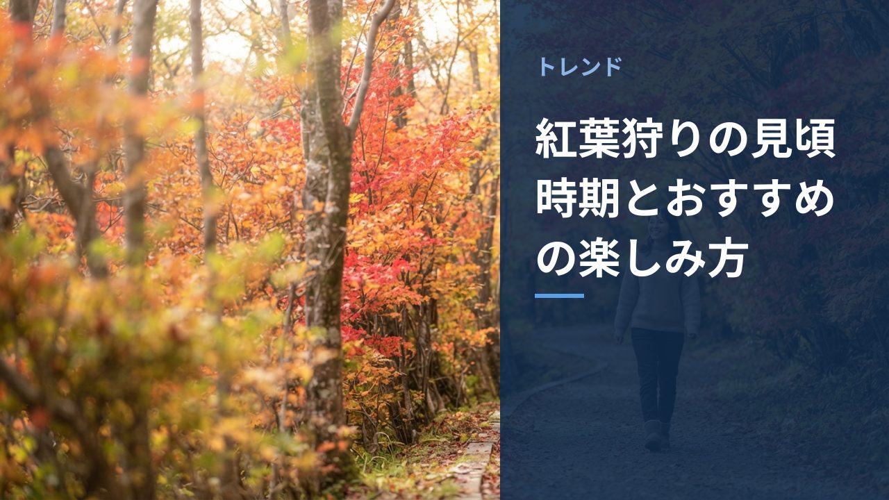 紅葉狩りの見頃時期とおすすめの楽しみ方